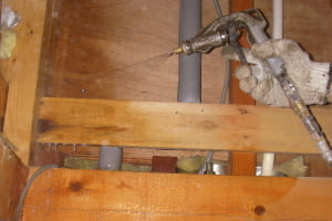 害虫駆除サービスもご一緒に