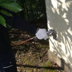 害虫駆除サービス